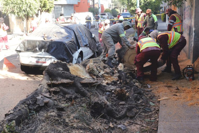 Fuerte sismo provoca la muerte de un hombre durante evacuación en Ciudad de México