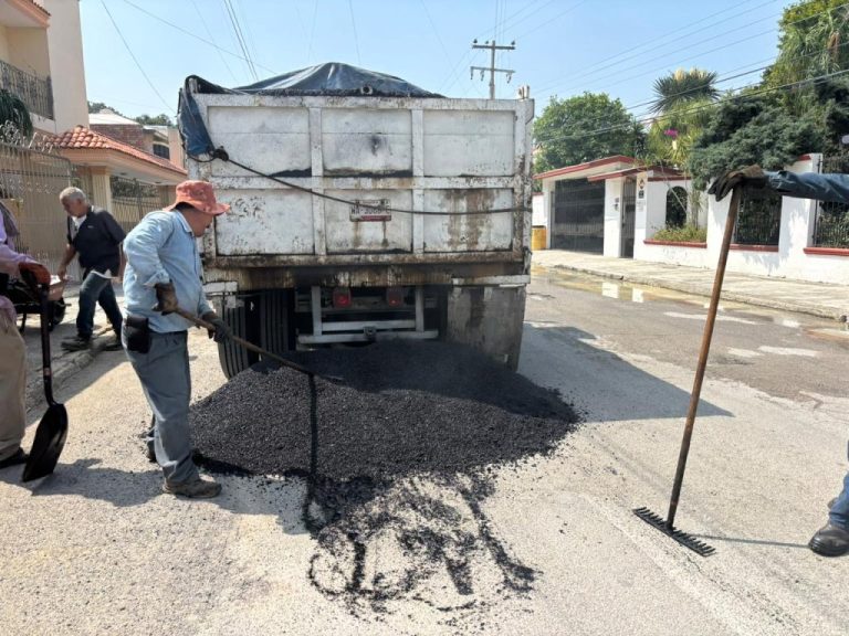1-BACHEO-1024x768